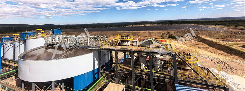 gold cyanide leaching plant.jpg